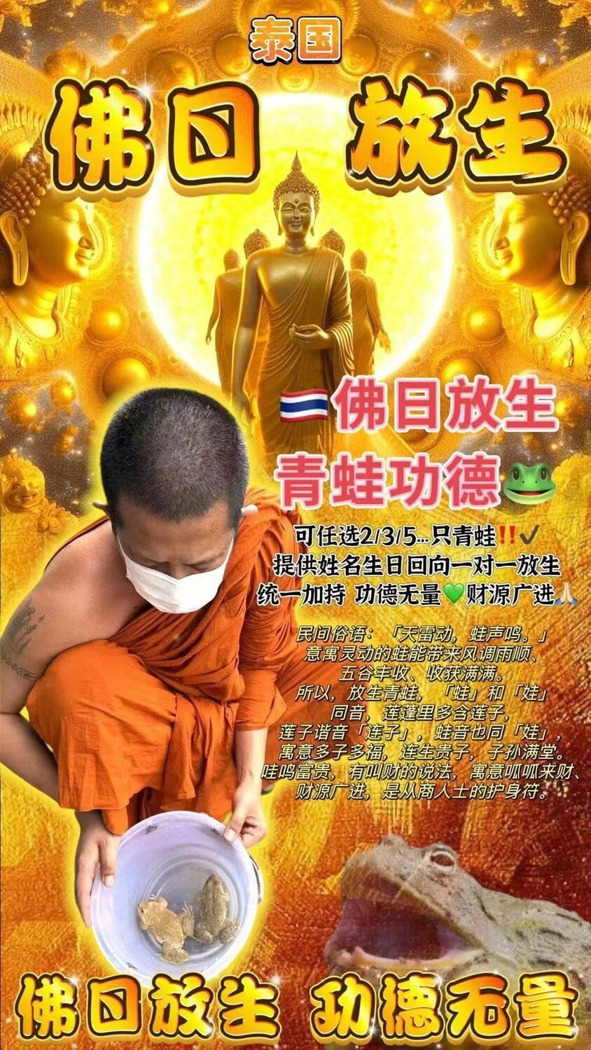 每个佛日 ~ 瓦詹兴庙•放生大功德