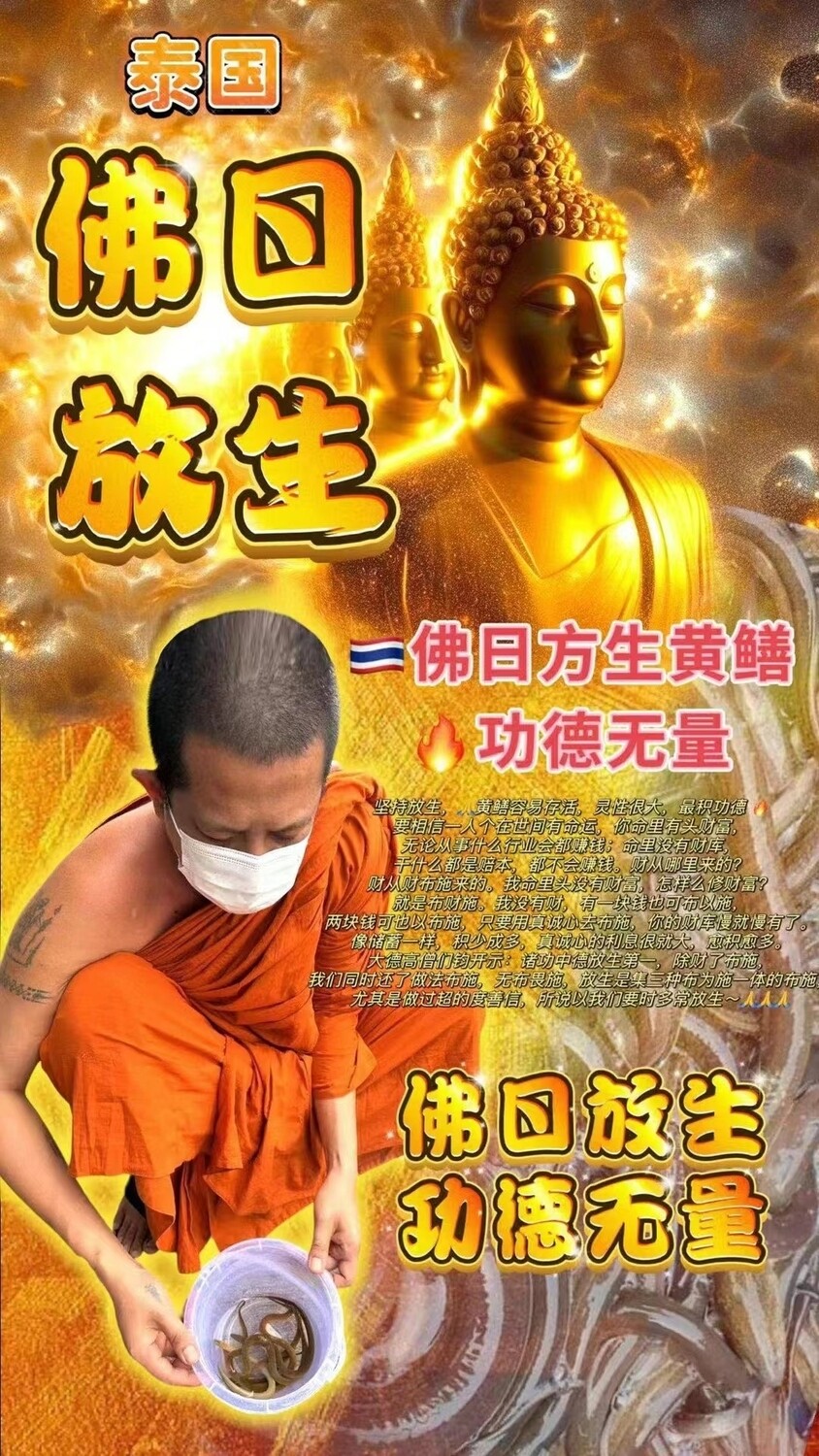 每个佛日 ~ 瓦詹兴庙•放生大功德