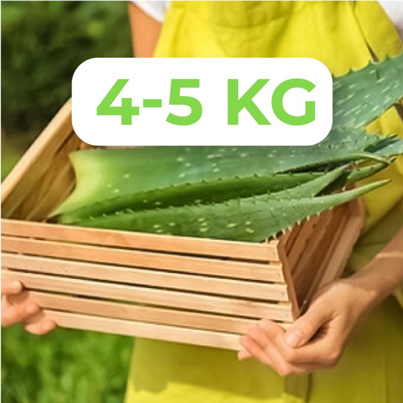 Organic Aloe Vera Leaves 4-5kg Option