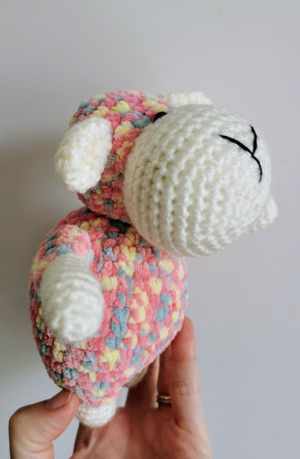 Baby Sheep