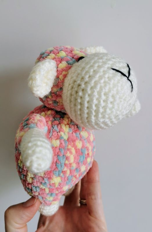 Baby Sheep