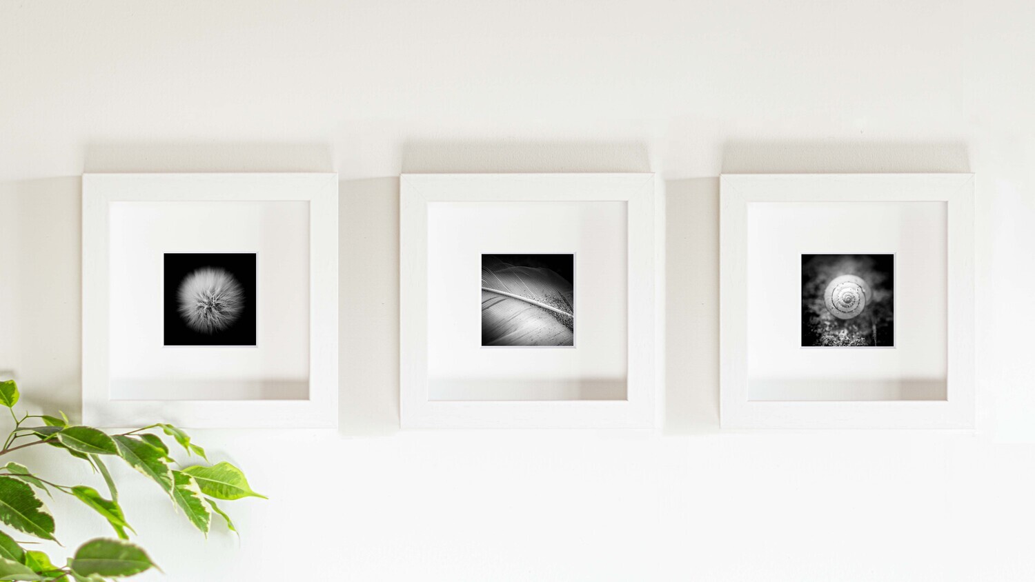 Small Trilogy Sets