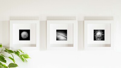 Small Trilogy Sets