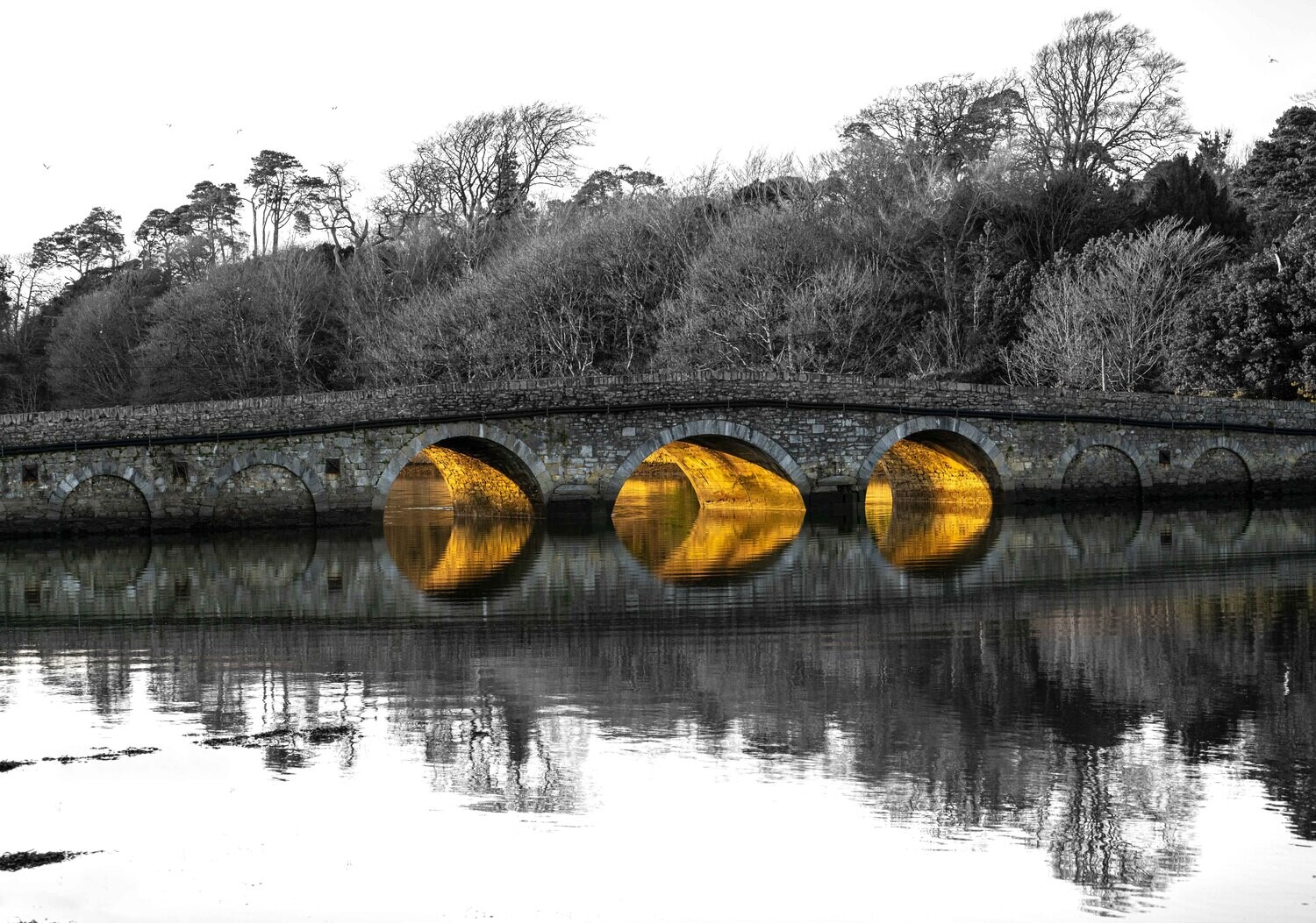 Echoes of Gold, Belvelly.