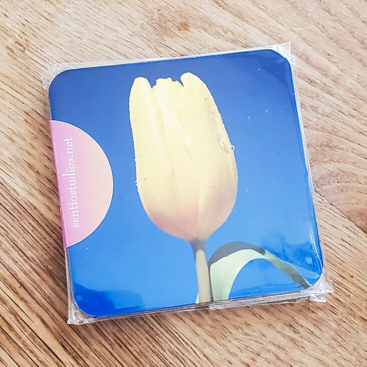 Coasters : Tulips