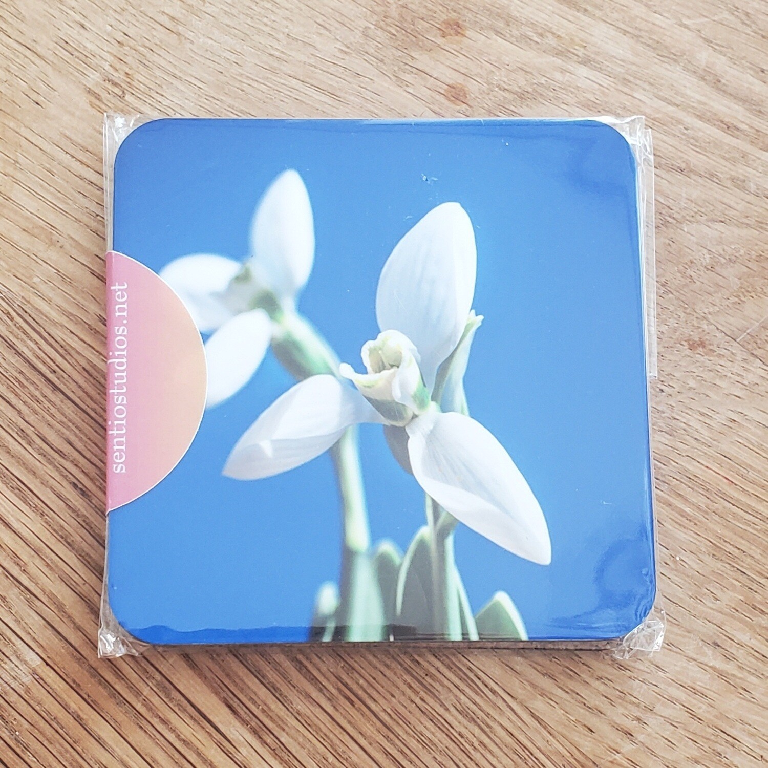 Coasters : East Cork Wildflowers