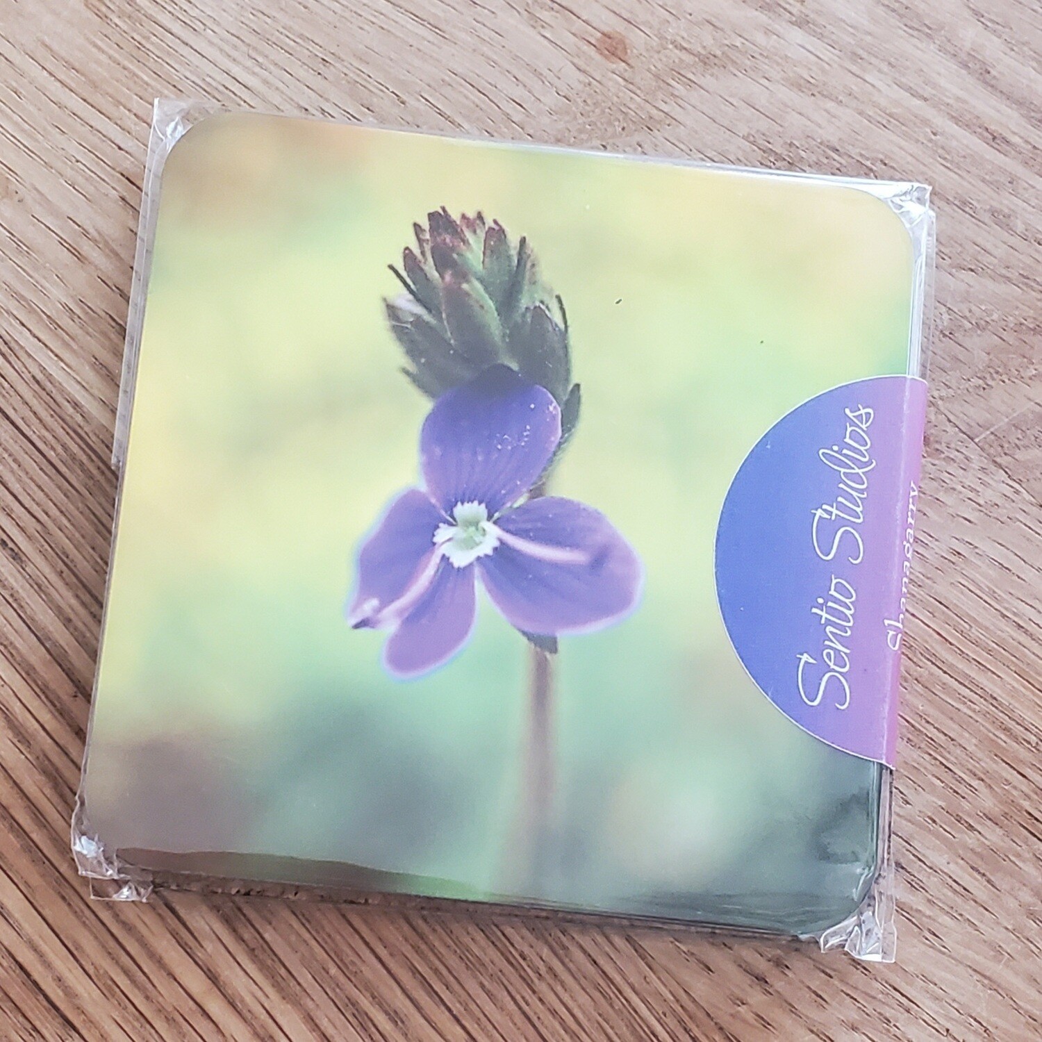 Coasters : East Cork Wildflowers