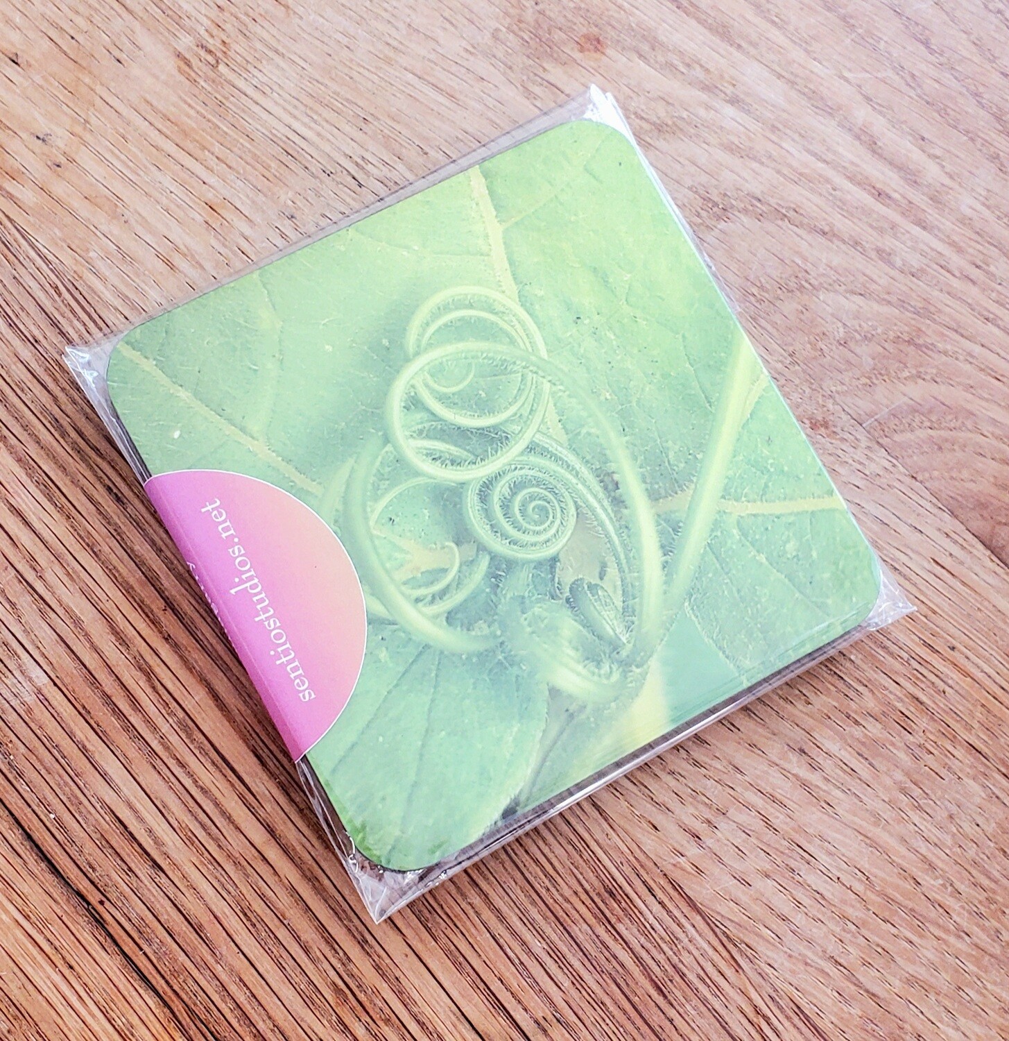 Coasters : East Cork Wildflowers