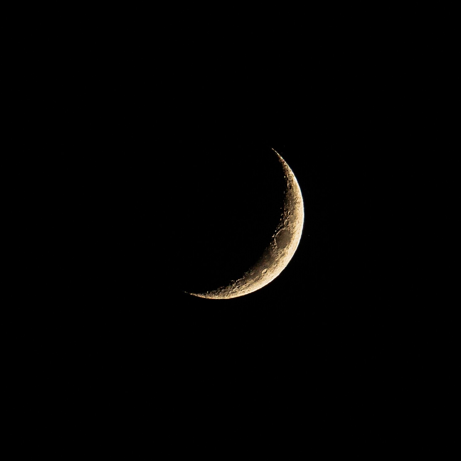 Coasters : Moon