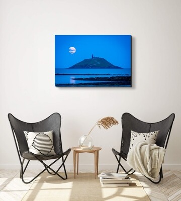 Curlew Under a Buck Moon, Ballycotton (Aluminium)