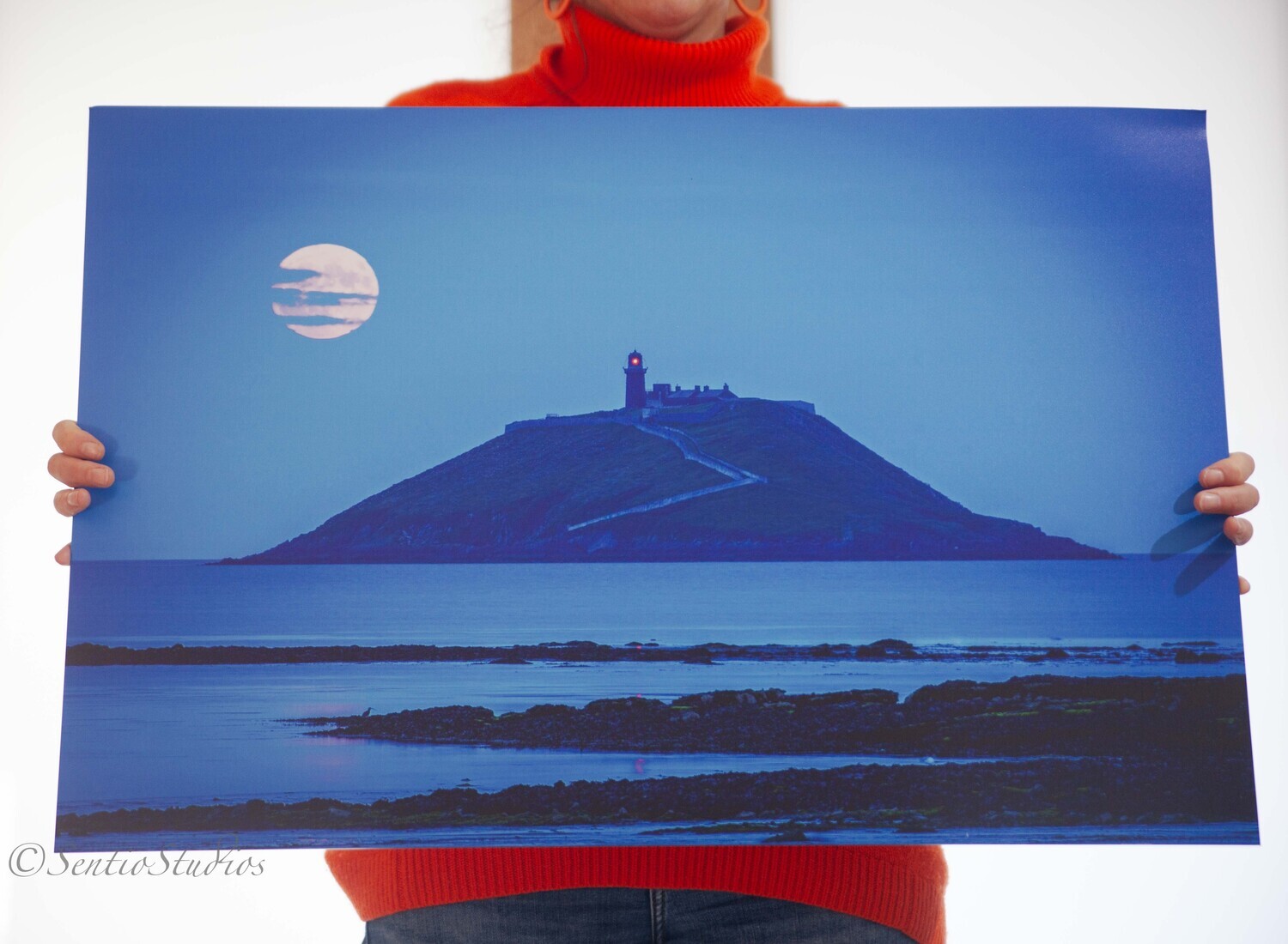 Curlew Under a Buck Moon, Ballycotton (Aluminium)