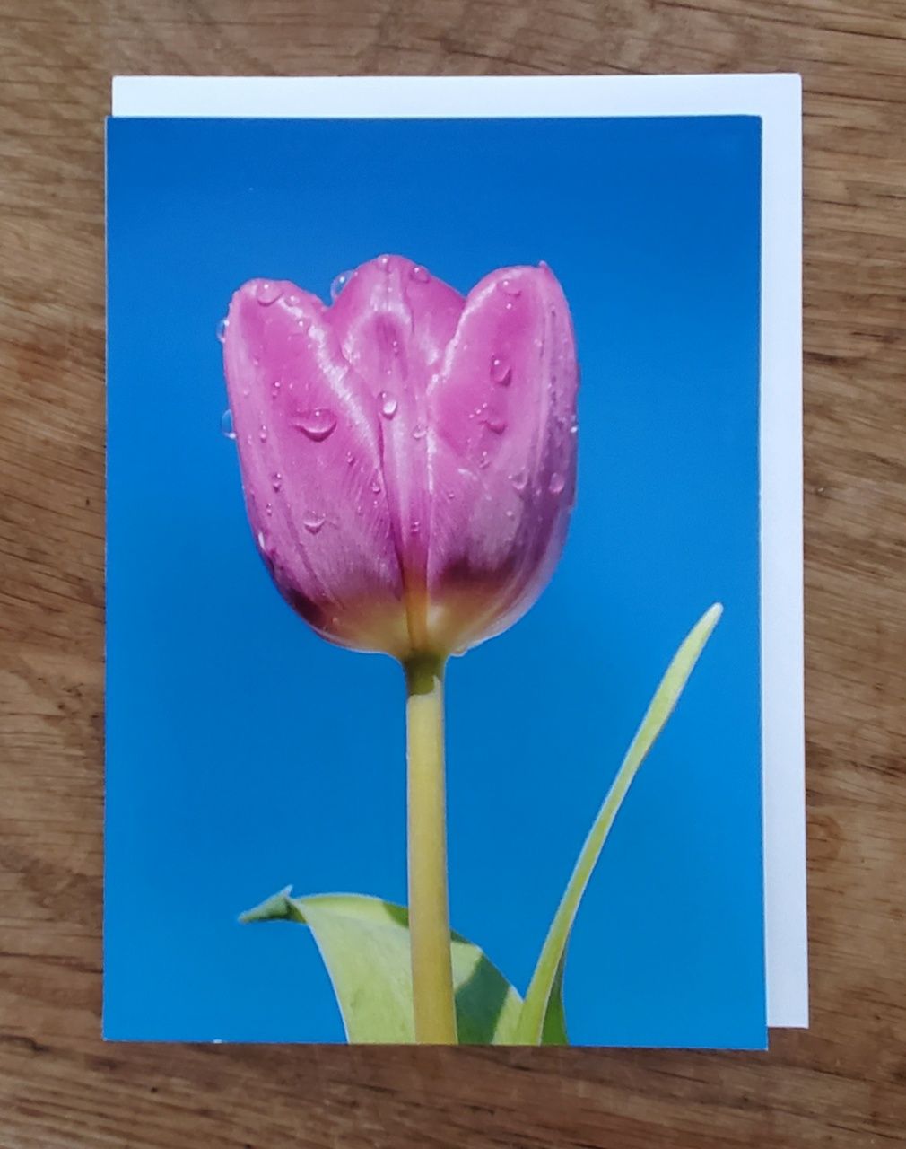 A selection of 5 Floral Plastic Free Mother's Day Greeting Cards