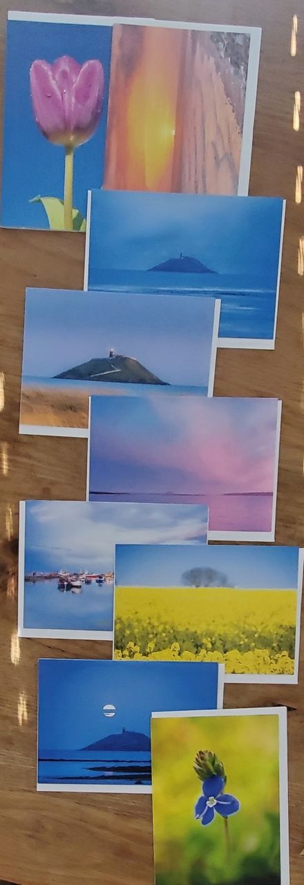 10 Card selection: Floral and Seascape