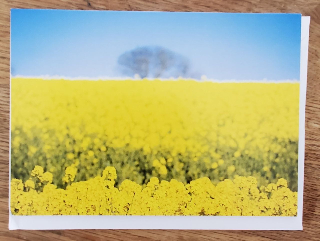 A selection of 5 Floral Plastic Free Mother's Day Greeting Cards