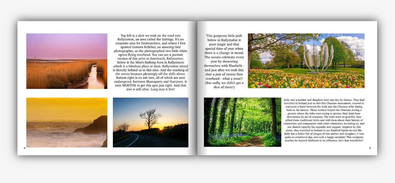 Book: A year in East Cork (mostly)