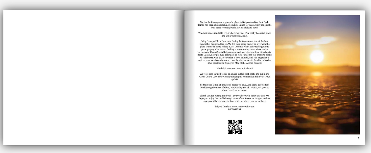 Book: A year in East Cork (mostly)
