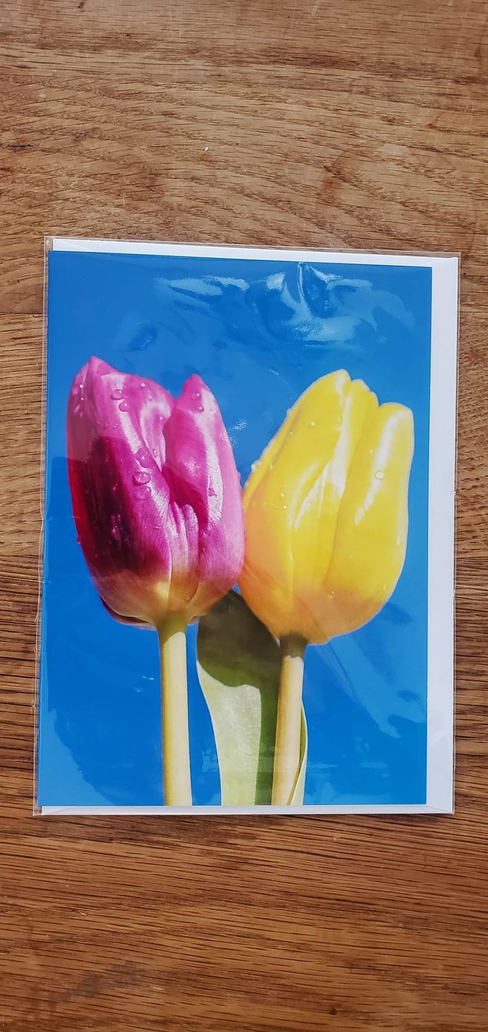 A selection of 5 Floral Plastic Free Mother's Day Greeting Cards