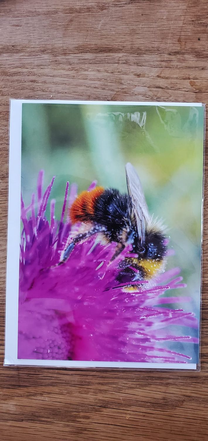 A selection of 5 Floral Plastic Free Mother's Day Greeting Cards