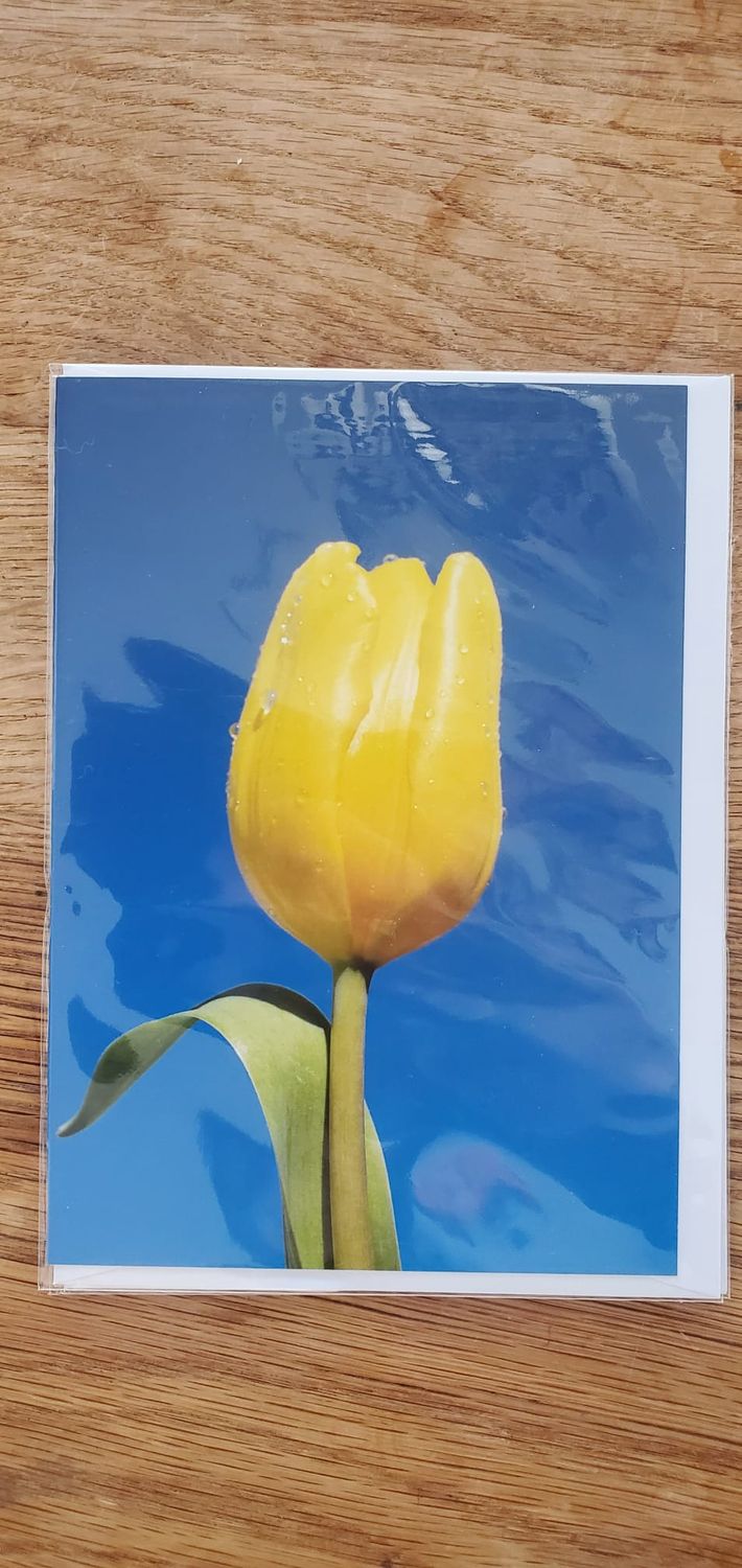A selection of 5 Floral Plastic Free Mother's Day Greeting Cards