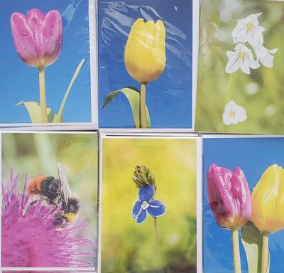 A selection of 5 Floral Plastic Free Mother's Day Greeting Cards