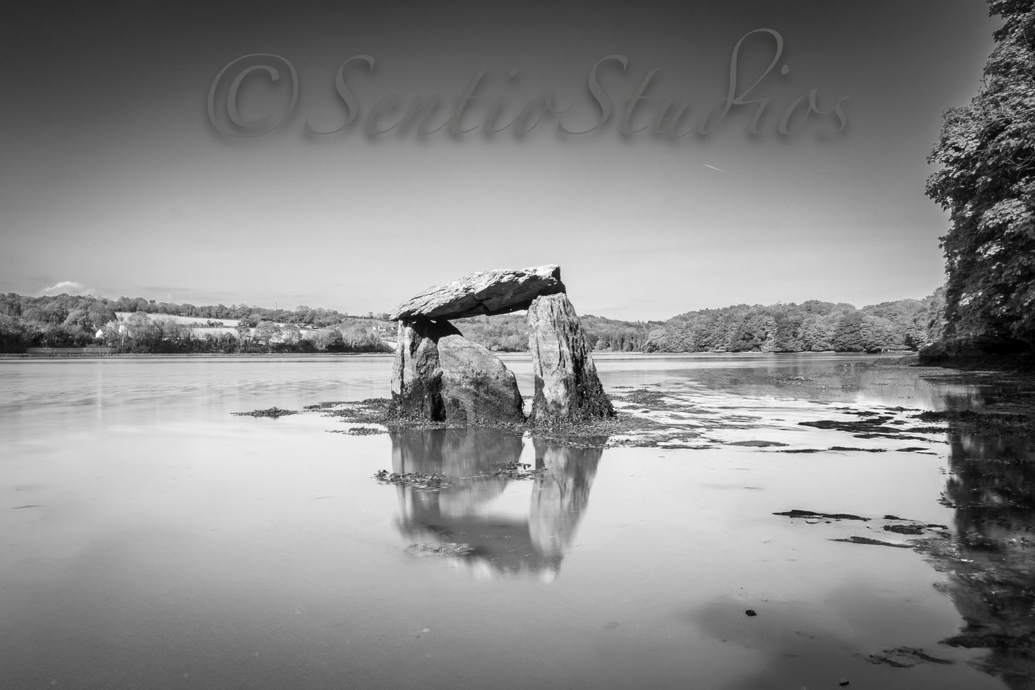 Carraig a Mhaistín in Monochrome (The Rostellan Dolmen)