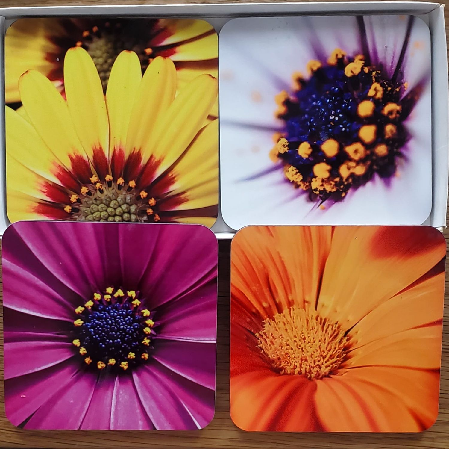 Coaster: Mixed Daisies