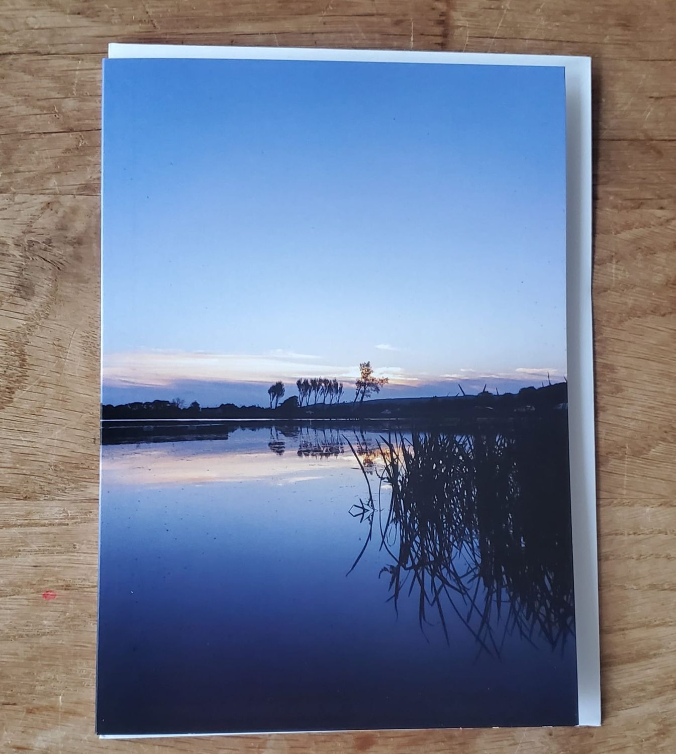 10 Card selection: Floral and Seascape