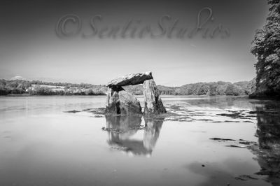 Carraig a Mhaistín in Monochrome (The Rostellan Dolmen)