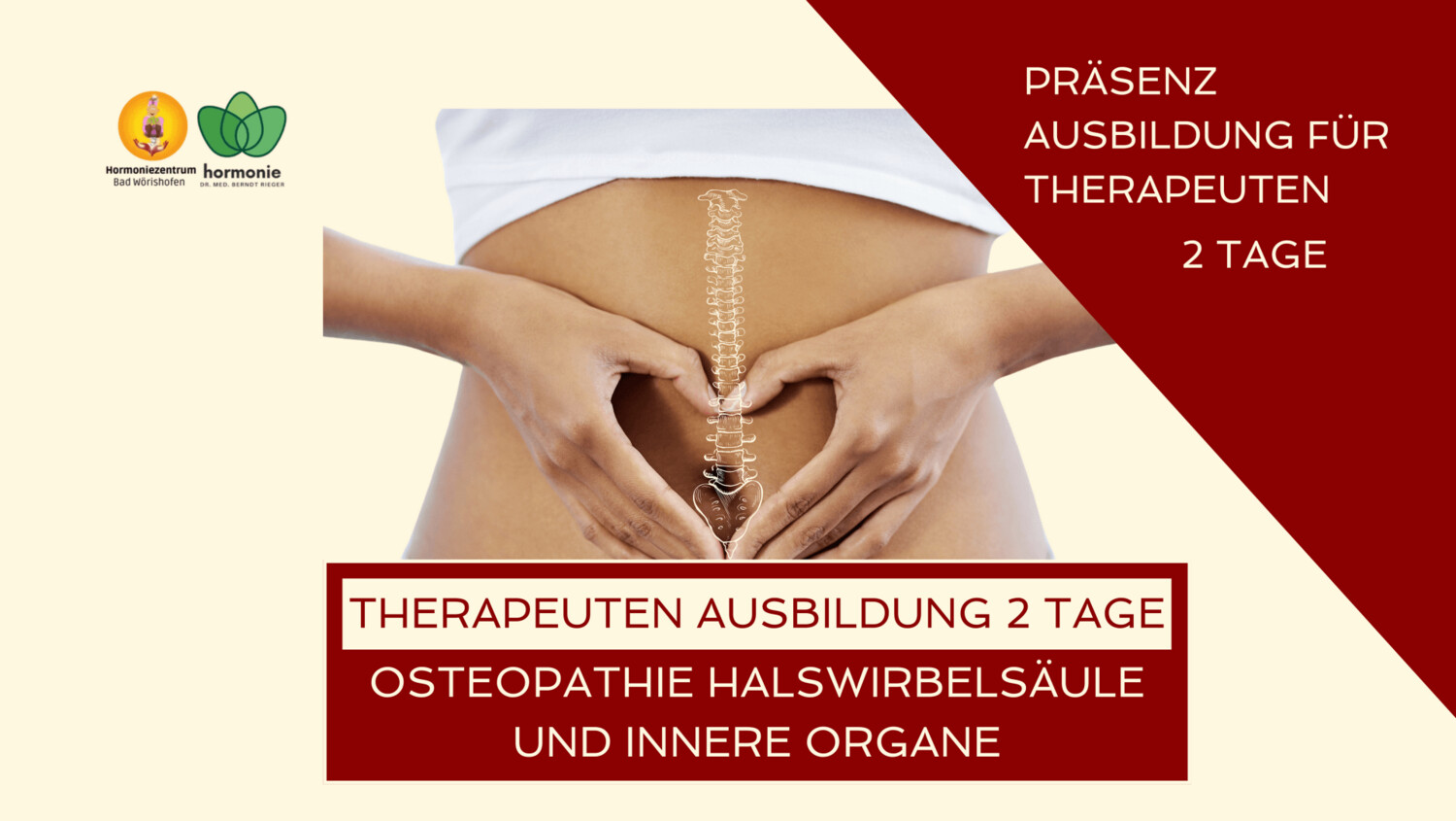 2 Tages - Workshop Befundung und Behandlung der inneren Organe plus Workshop Halswirbelsäule
22./23.März 2024