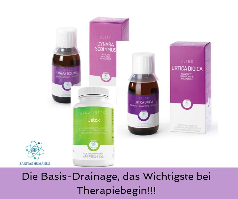 Oligo Stoffwechsel Zuwendung - Basis-Drainage - wichtig vor Therapiebeginn Oligo Stoffwechsel Zuwendung - Basis-Drainage - wichtig vor Therapiebeginn