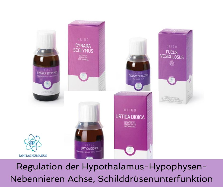 Oligo Stoffwechsel Zuwendung - Regulation der Hormon Achsen: Hypothalamus-Hypophyse-Adrenal-Achse