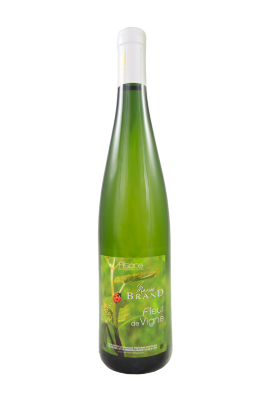 FLEUR DE VIGNE