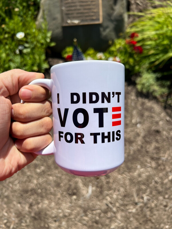I Didn’t Vote For This