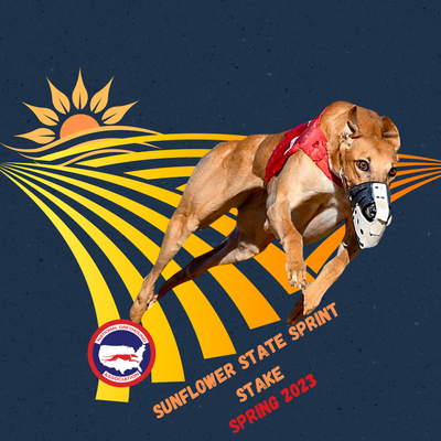 Spring Nationals 2023 Tshirts