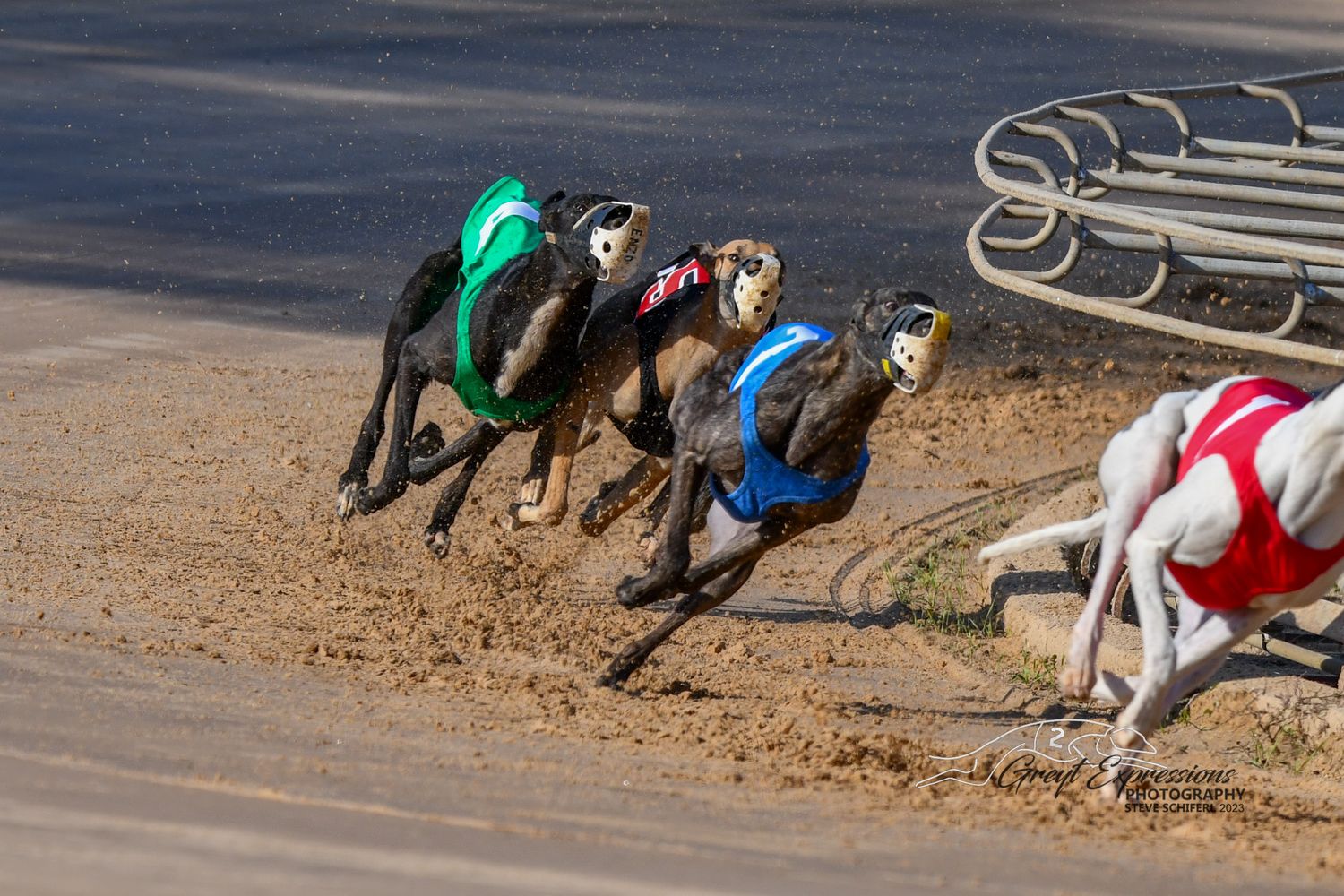 Associate Membership Annual  Renewal