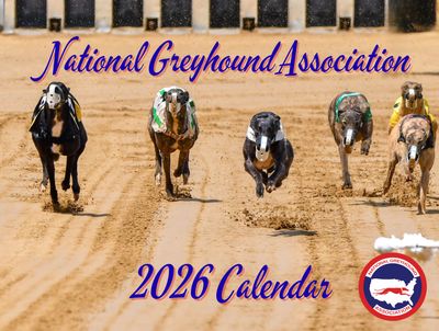 2026 NGA Greyhound Calendar