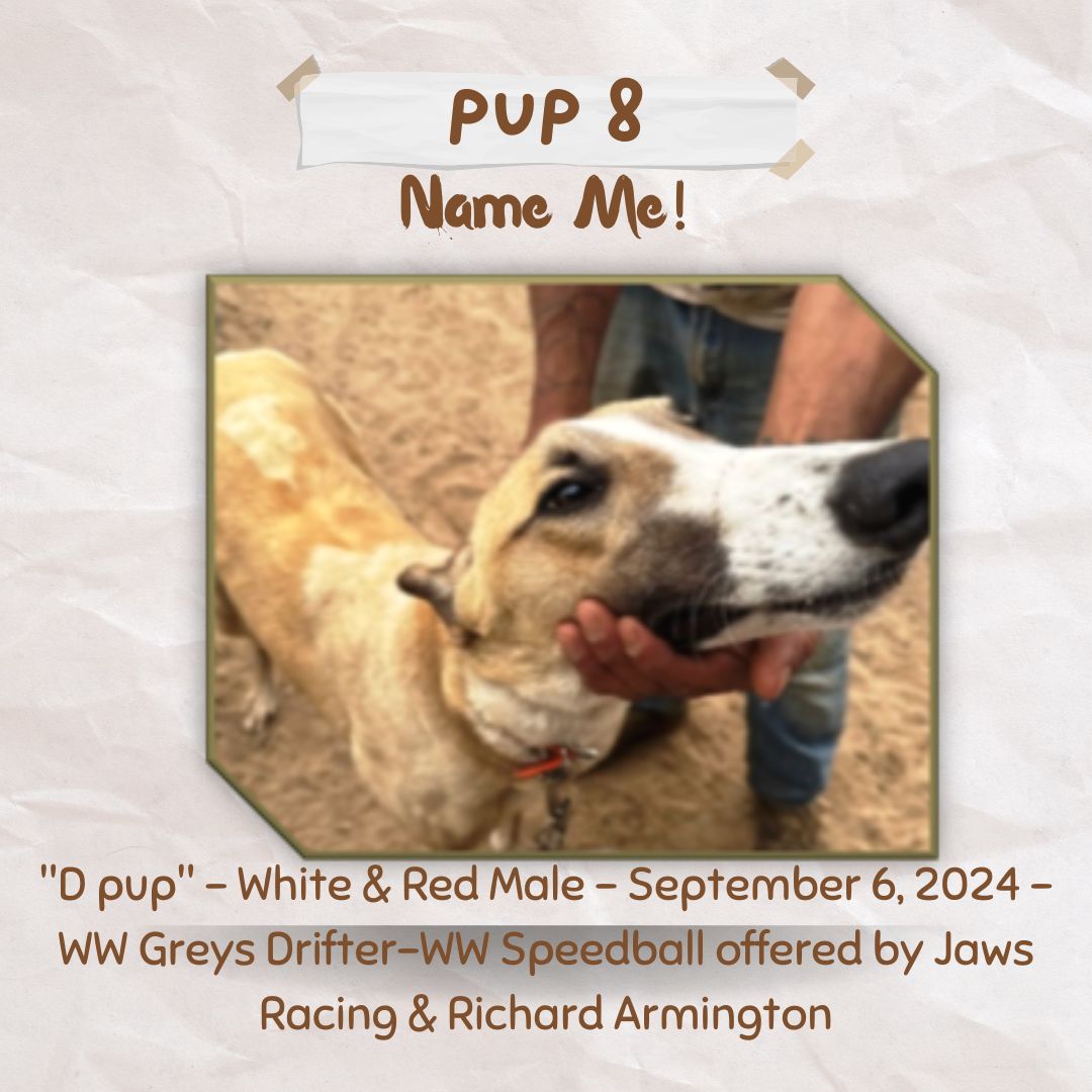 Pup Giveaway 2025 - Annual Fundraiser for the Greyhound Hall of Fame
