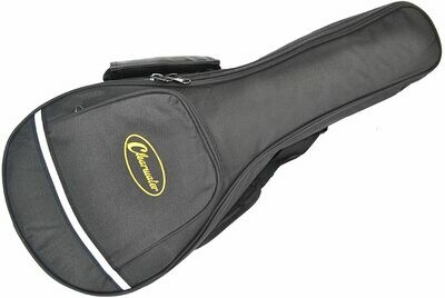 MANDOLIN GIG BAG SOFT CASE TAKES CLEARWATER TENOR SOLID BODY ELECTRIC UKES