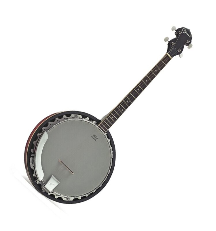 Tenor Banjo 4 string Detachable resonator Diecast shell Remo head Gig Bag 2104T