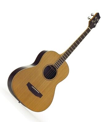 Tenor Acoustic Guitar Satin Finish Cedar top Maple binding 3372 by Ozark