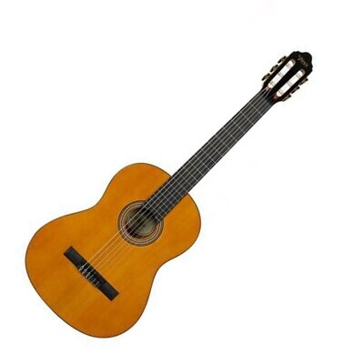 Valencia Classical Guitar 260 series 4/4 Size Natural Gloss Finish