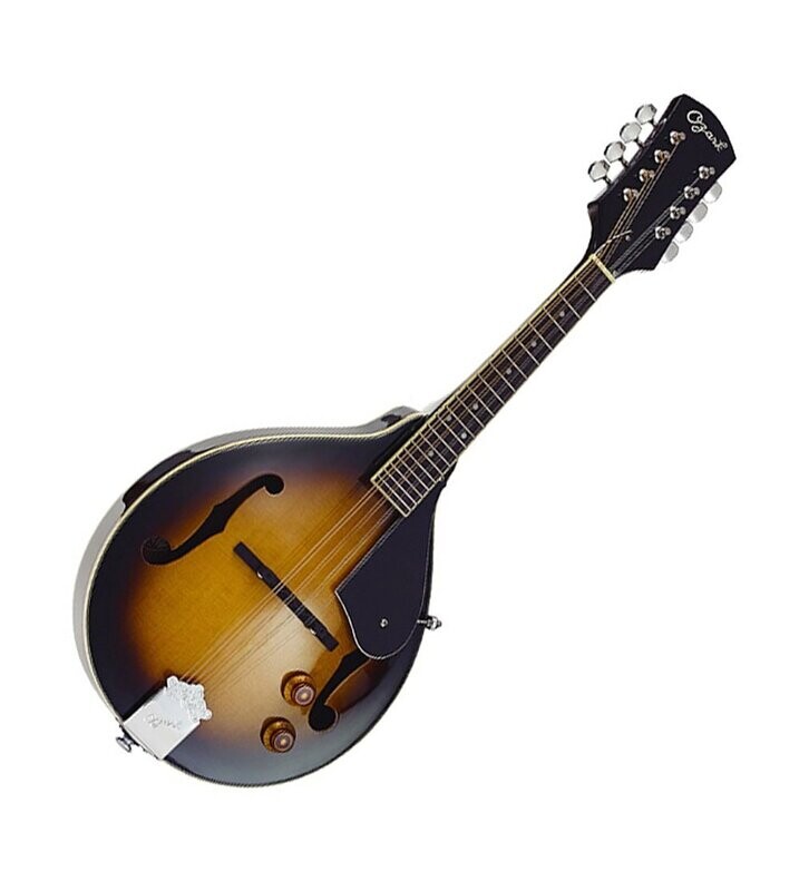 Ozark Electro Acoustic 'A'model Mandolin