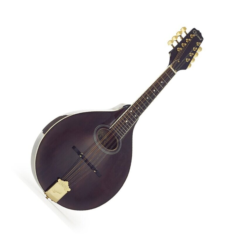Ozark deluxe vintage style 'A' model Mandolin
Model 2260