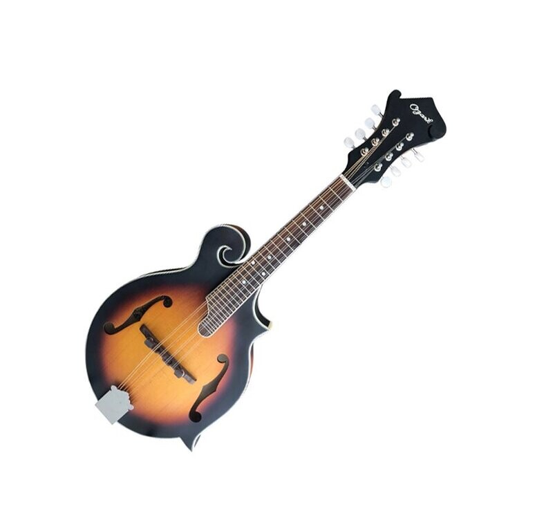Ozark 'F' model Mandolin solid top with Gig Bag