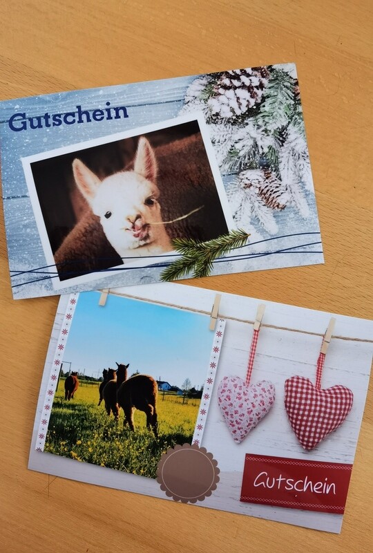 Gutschein für eine große Alpakawanderung für ein Kind 5 - 9 Jahre Gutschein für eine große Alpakawanderung für ein Kind 5 - 9 Jahre