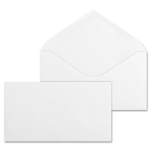 6 3/4 Regular Envelopes