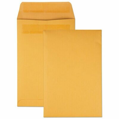 6x9 Mailing Envelopes - 25pk