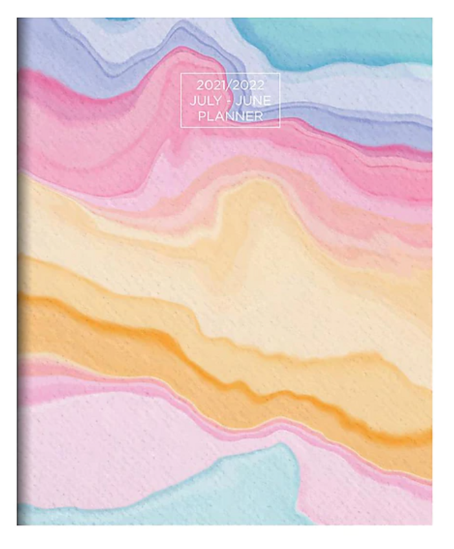 TF Publishing Monthly Academic Appointment Book, Sorbet, 9&quot;x11&quot;, Multicolor