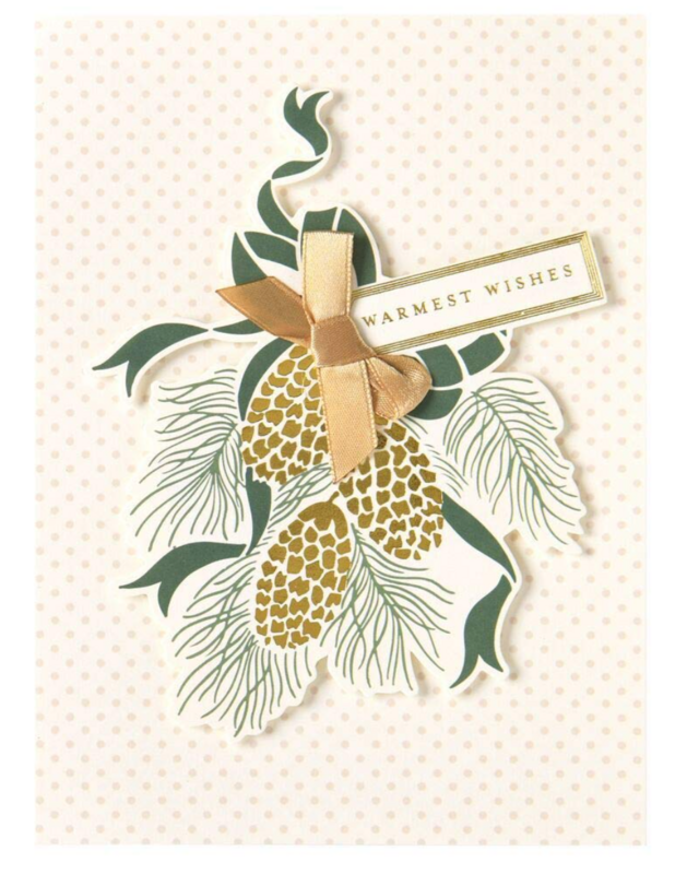 Anna Griffin Christmas Cards - Warmest Wishes, set of 10