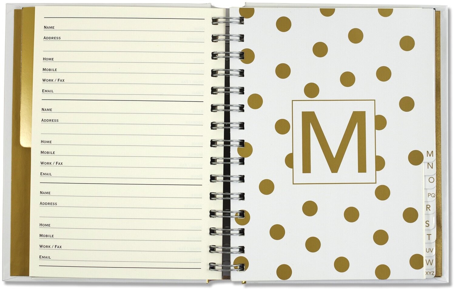 Peter Pauper Gold Dot Address Book